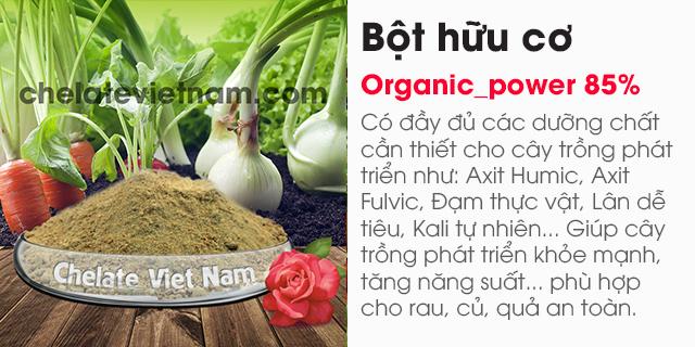 Ban Bột hữu cơ cao cấp (Organic_power 85%)